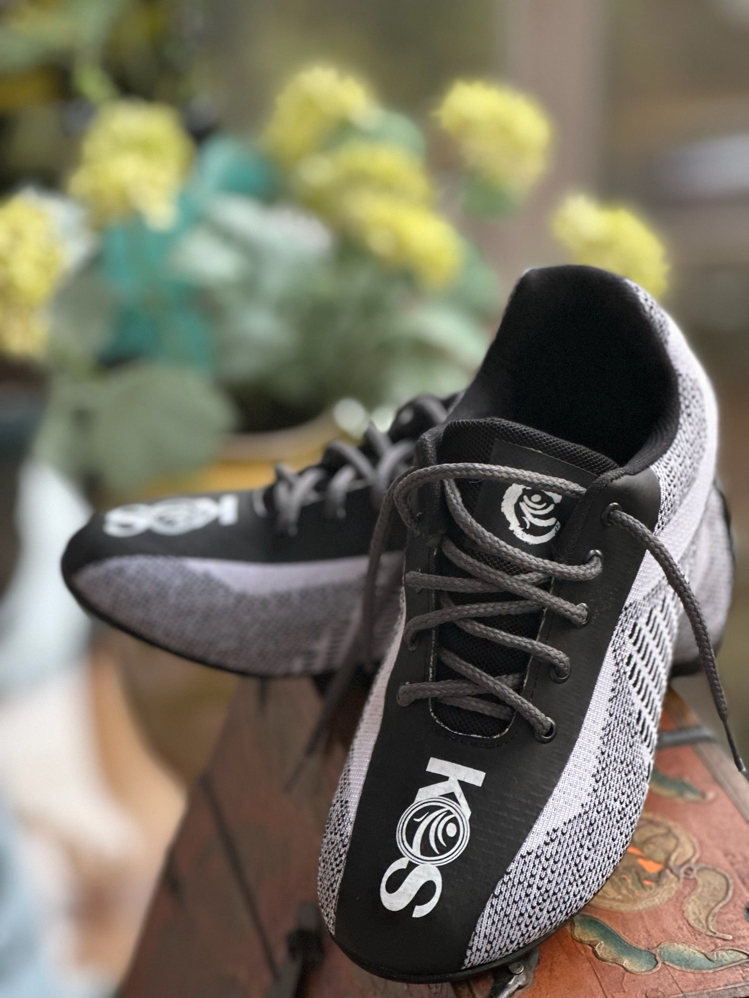 Tenis Champion S.2 KOS
