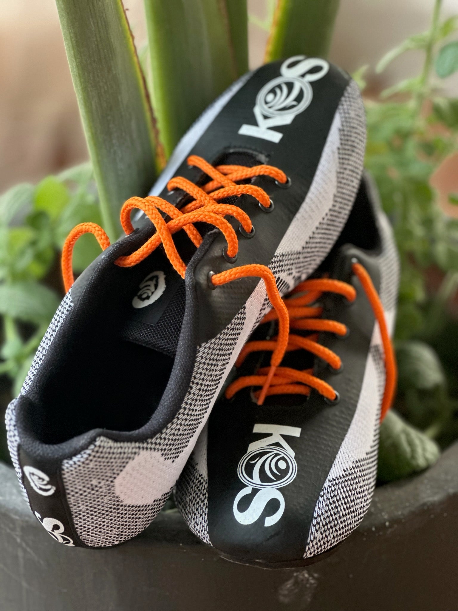 Tenis Champion S.2 KOS