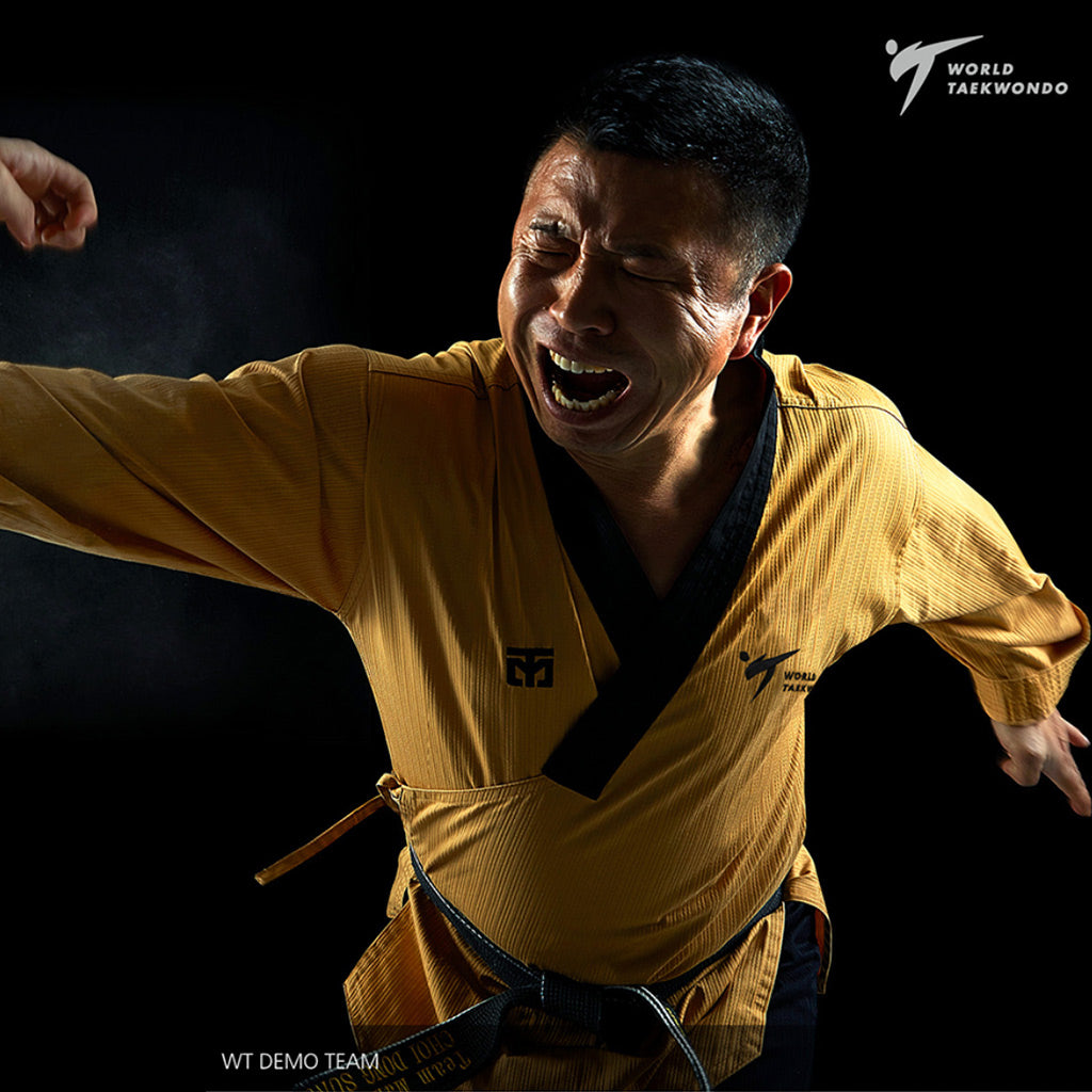 Dobok Poomsae High Dan TaeBaek Mooto, puesto